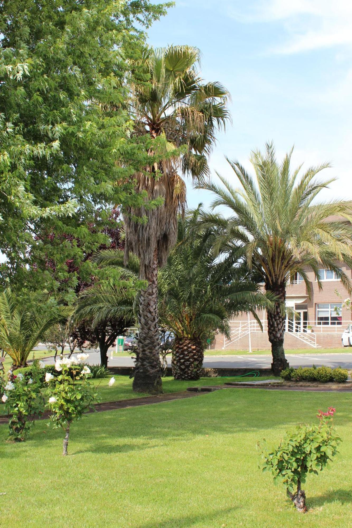 Hotel Azar Plasencia Bagian luar foto